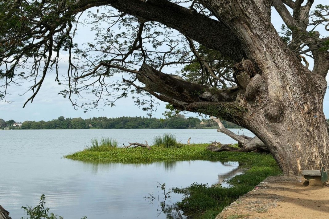 pexels-hiranya-pahasara-682286811-37084869