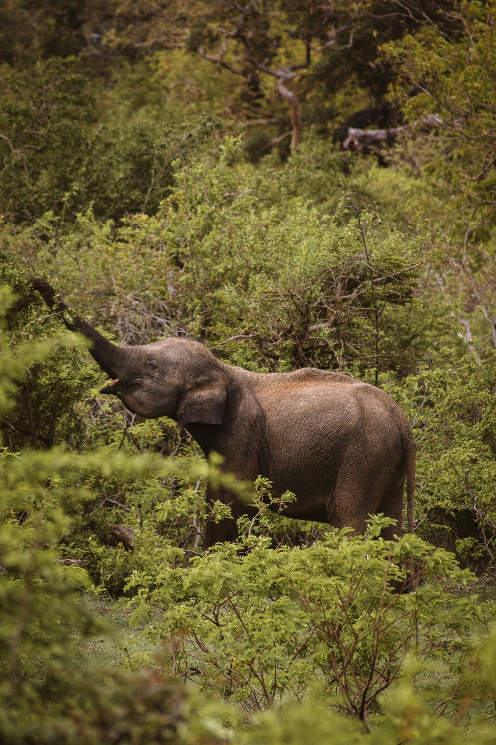 pexels-leefinvrede-18463828